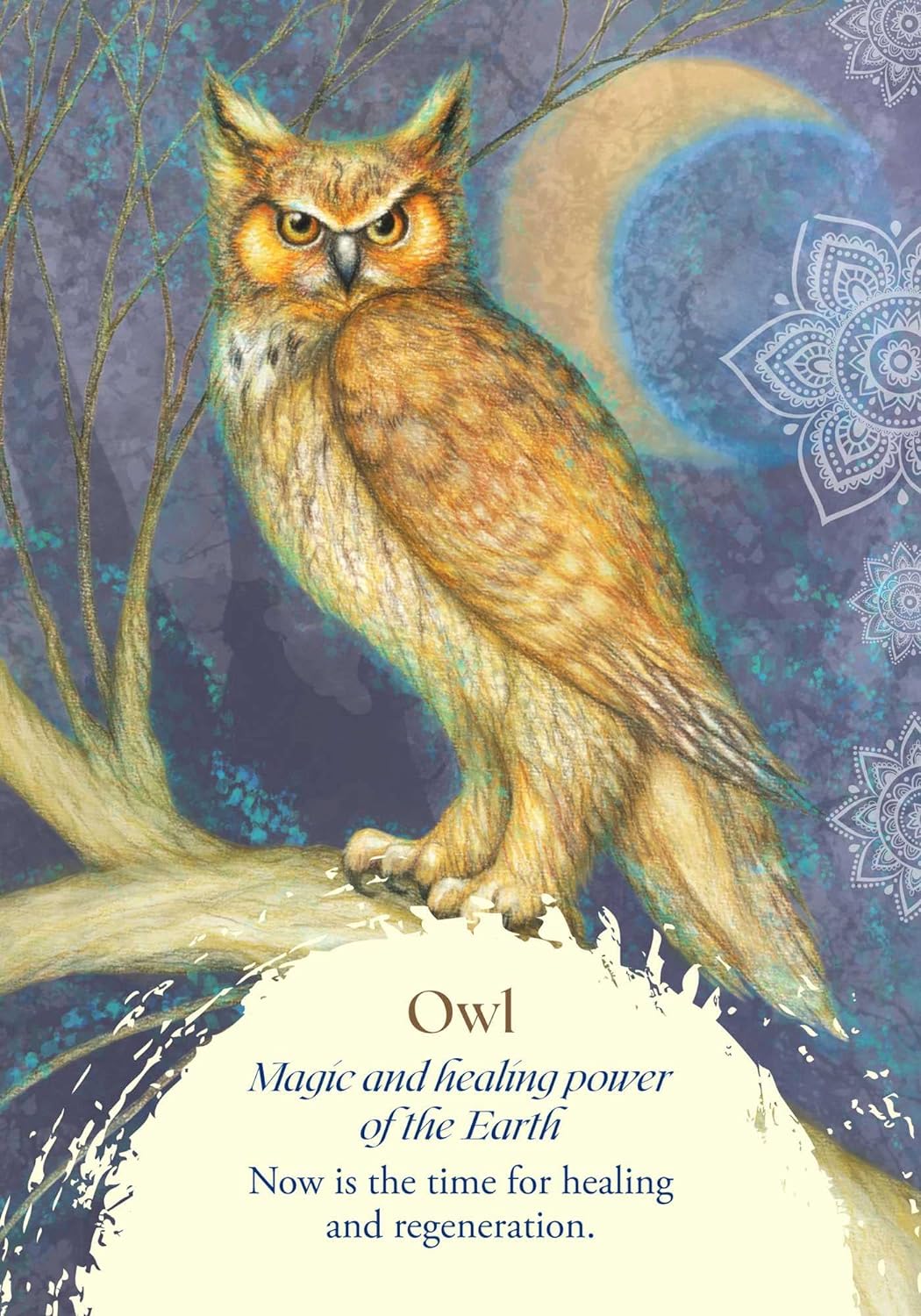 Oracle of the Birds Cards